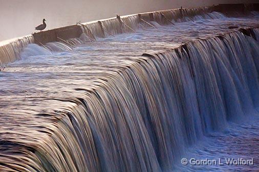 Bird Watching_17290.jpg - Rideau Canal Waterway photographed near Smiths Falls, Ontario, Canada.